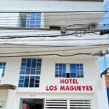 Hotel Los Magueyes Букараманга Екстериор снимка
