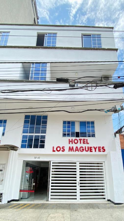 Hotel Los Magueyes Букараманга Екстериор снимка