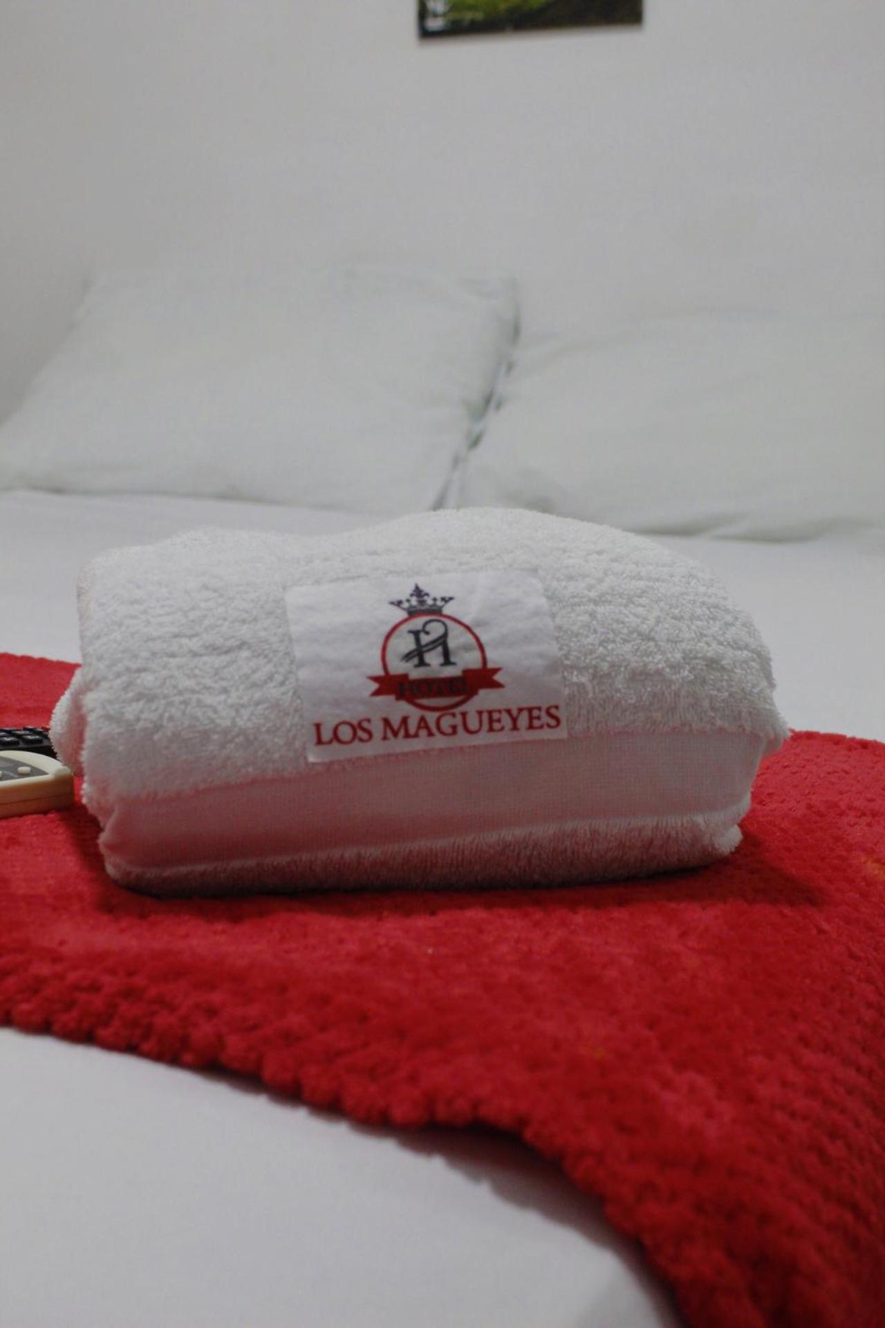 Hotel Los Magueyes Букараманга Екстериор снимка